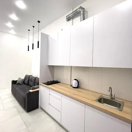 Apartment For Rent In The City Center Of Kharkiv K18 Elinaflats Exterior photo