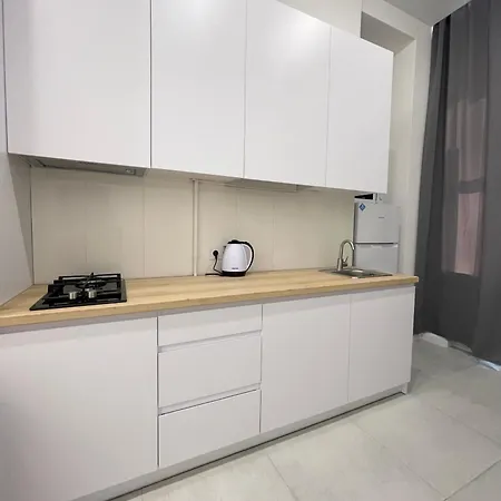 Apartment For Rent In The City Center Of Kharkiv K18 Elinaflats Exterior photo